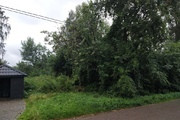Działka Sprzedaż Zalesie