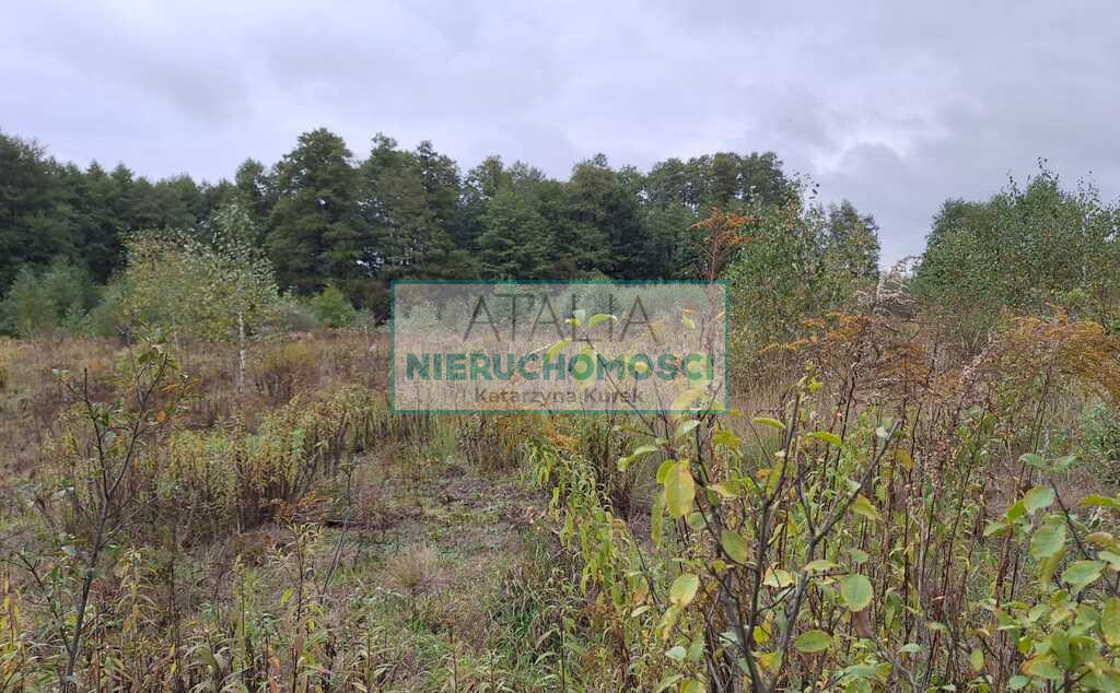 Działka Sprzedaż Bieganów