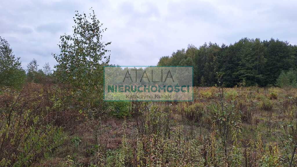 Działka Sprzedaż Bieganów