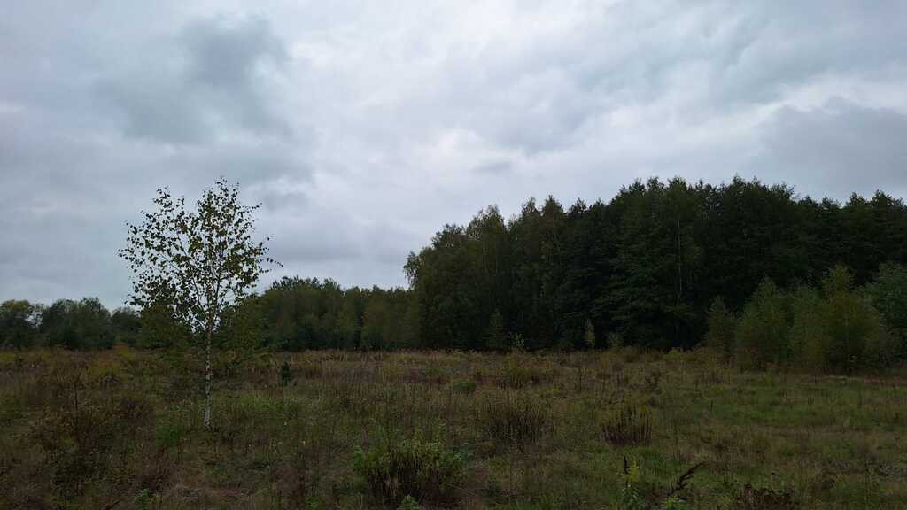 Działka Sprzedaż Bieganów