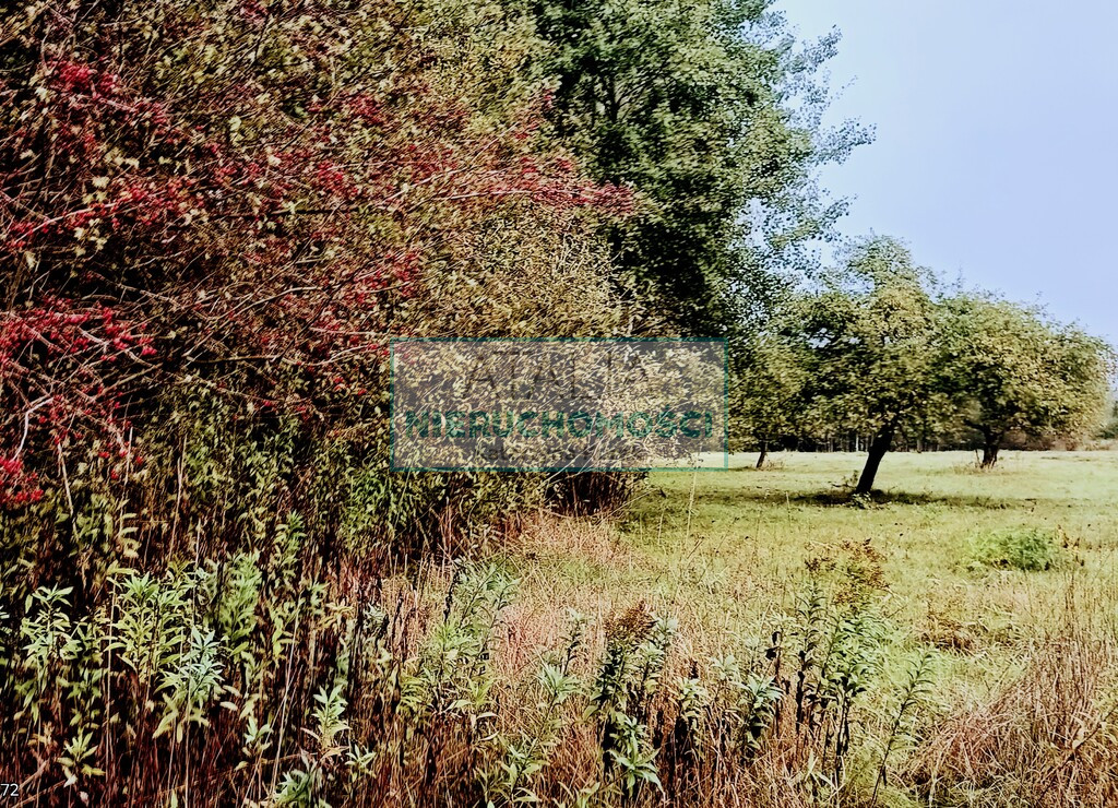 Działka Sprzedaż Nowa Bukówka