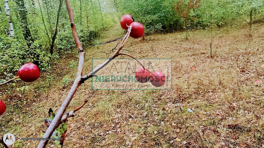 Działka Sprzedaż Nowa Bukówka