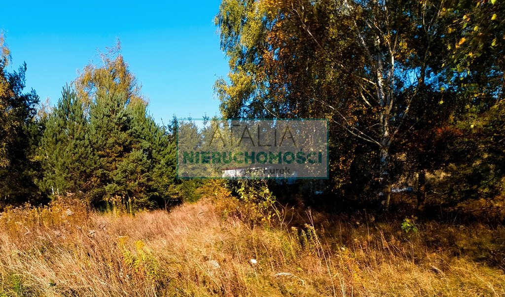 Działka Sprzedaż Jastrzębnik