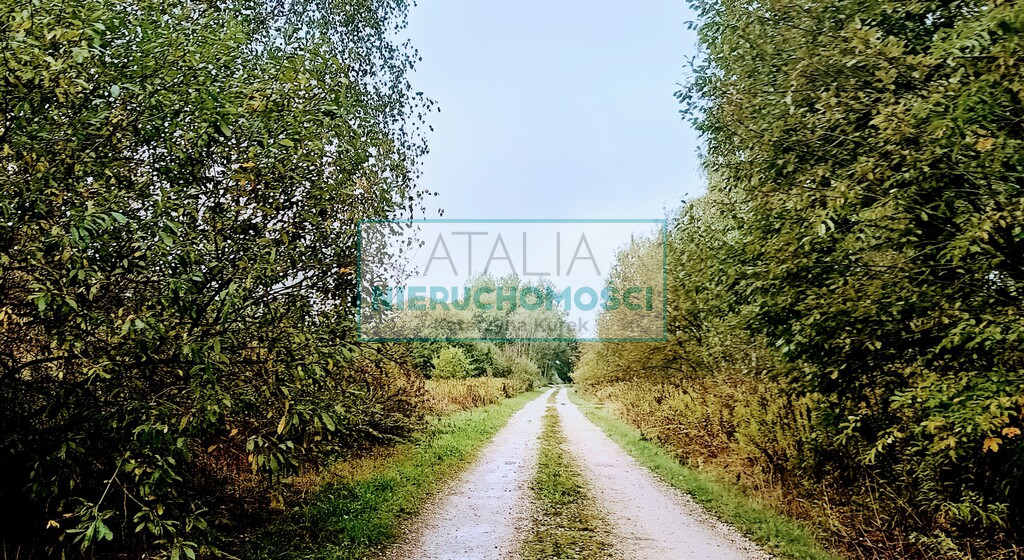 Działka Sprzedaż Żabia Wola