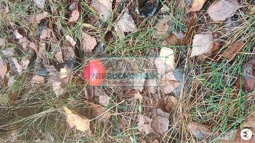 Działka Sprzedaż Żabia Wola