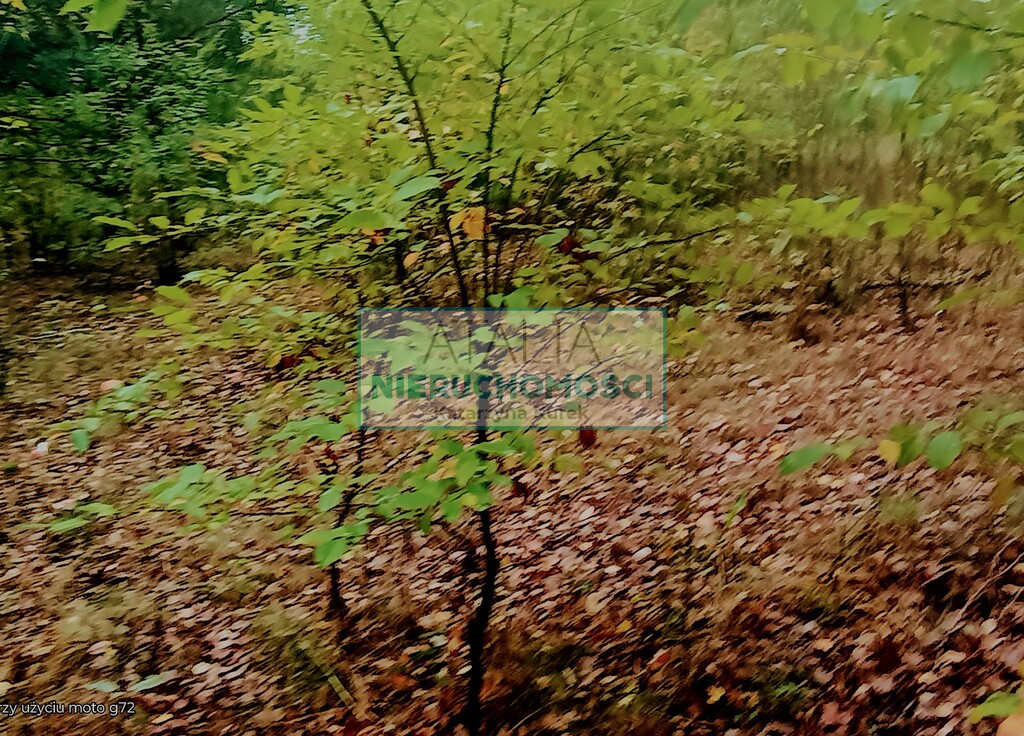 Działka Sprzedaż Żabia Wola