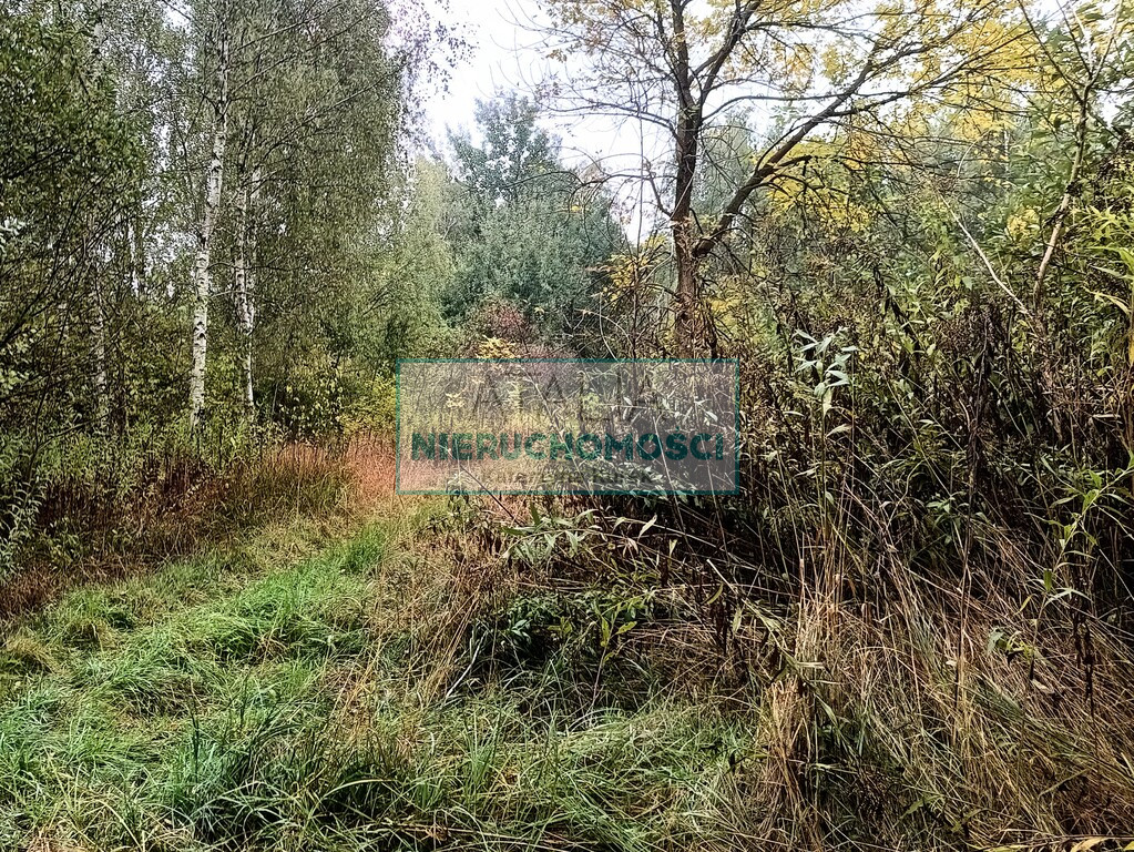 Działka Sprzedaż Nowa Bukówka