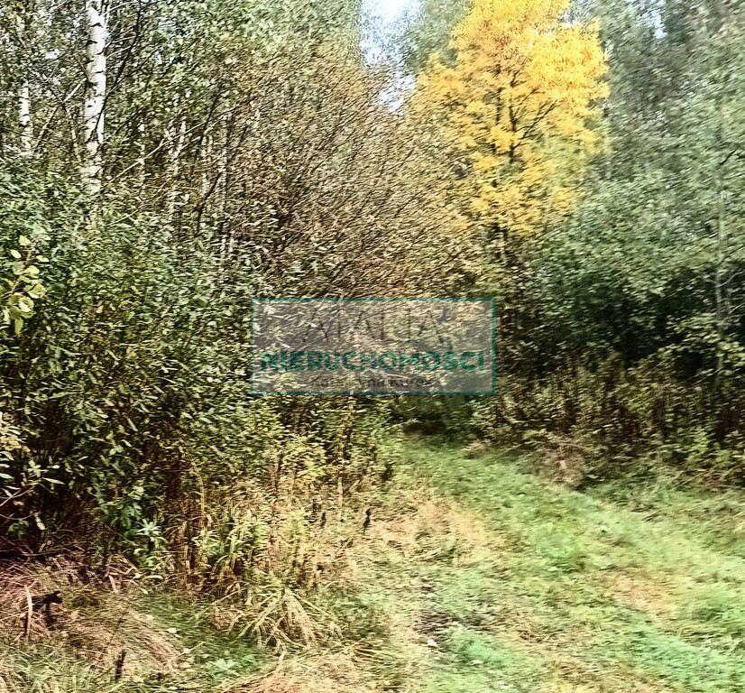 Działka Sprzedaż Nowa Bukówka