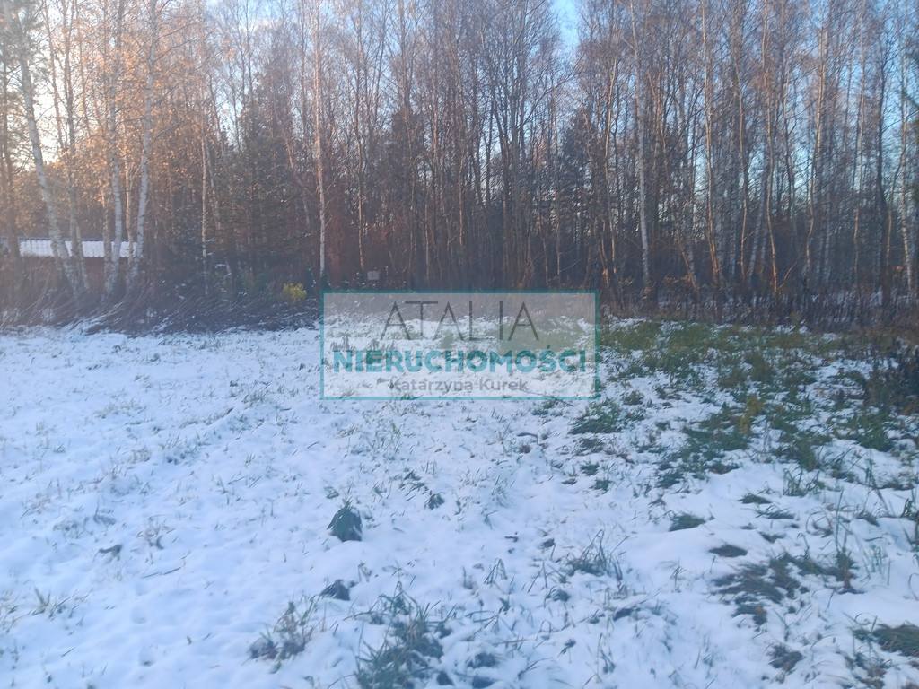 Dom Sprzedaż Osowiec