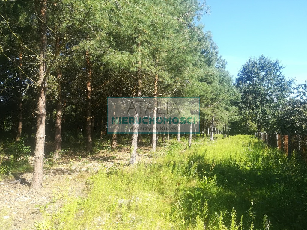 Działka Sprzedaż Mieszkowo