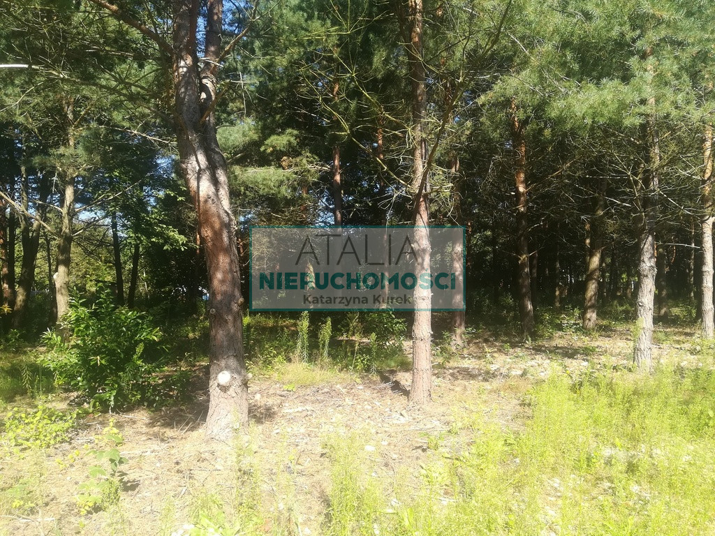 Działka Sprzedaż Mieszkowo