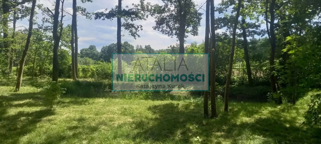 Działka Sprzedaż Podkowa Leśna