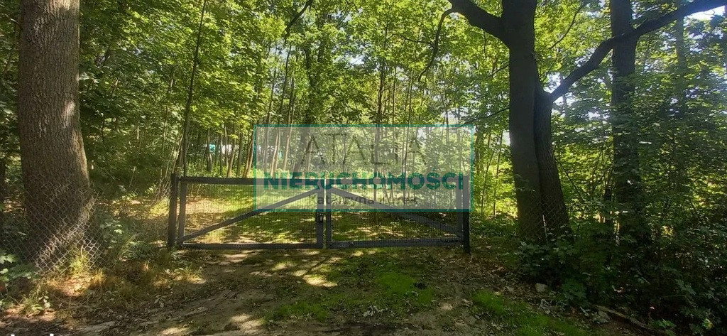 Działka Sprzedaż Podkowa Leśna