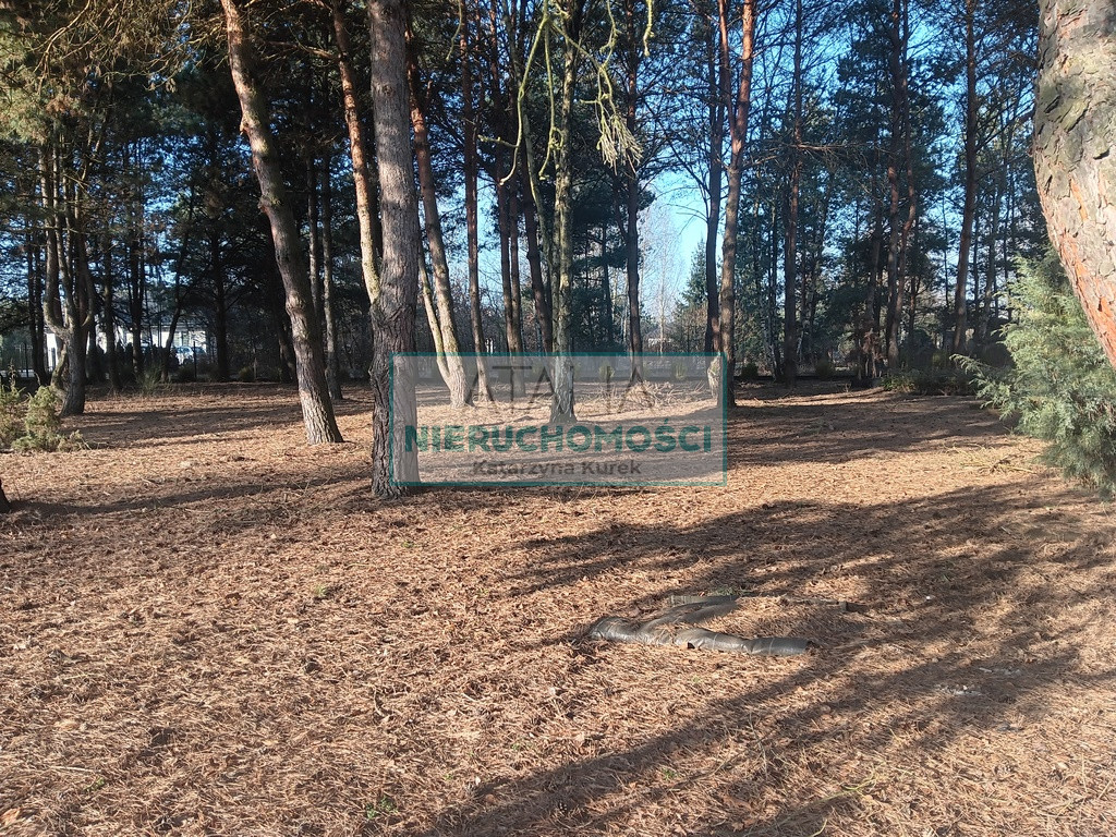Działka Sprzedaż Żelechów