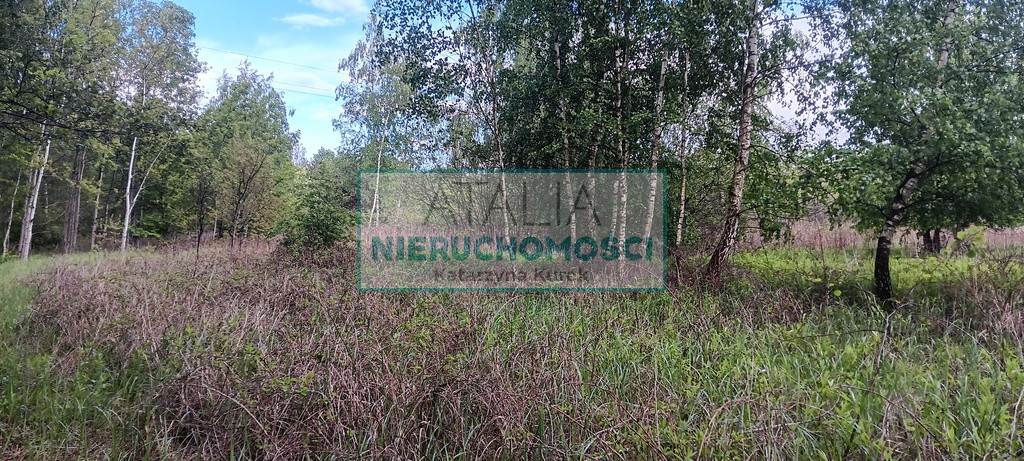 Działka Sprzedaż Międzyborów
