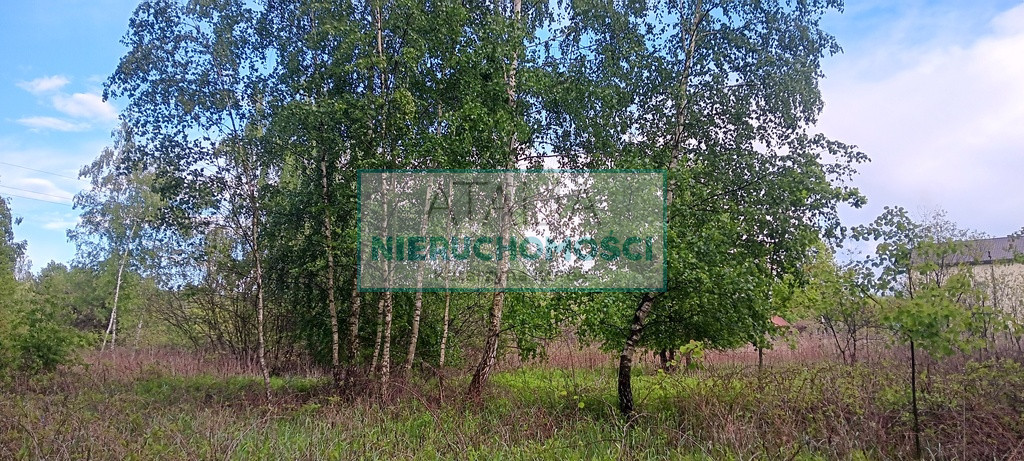 Działka Sprzedaż Międzyborów