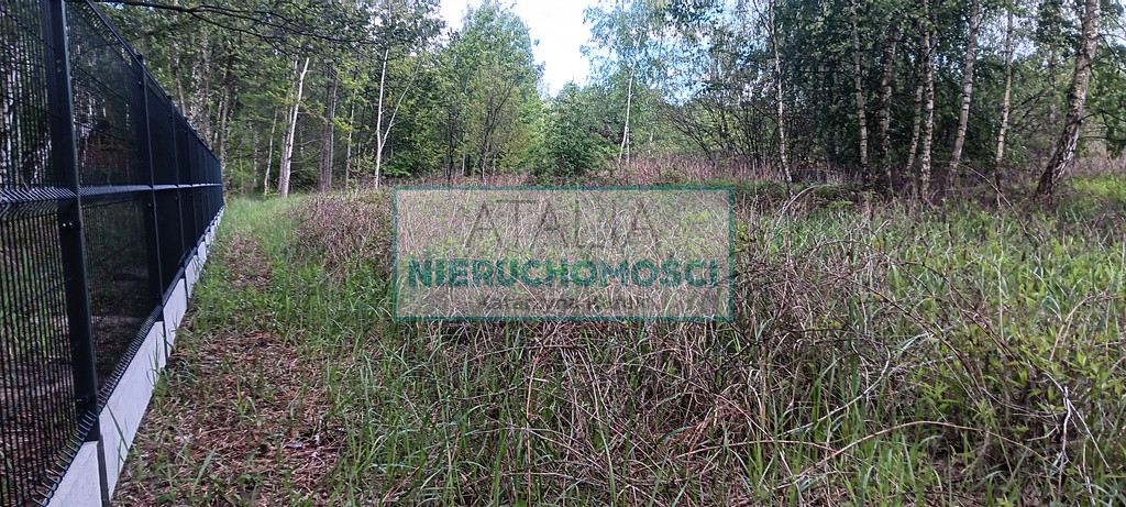 Działka Sprzedaż Międzyborów