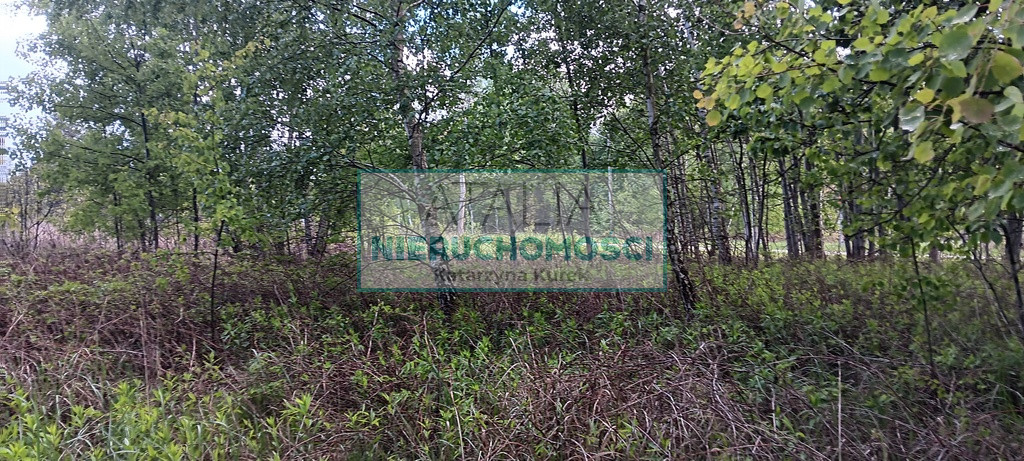 Działka Sprzedaż Międzyborów
