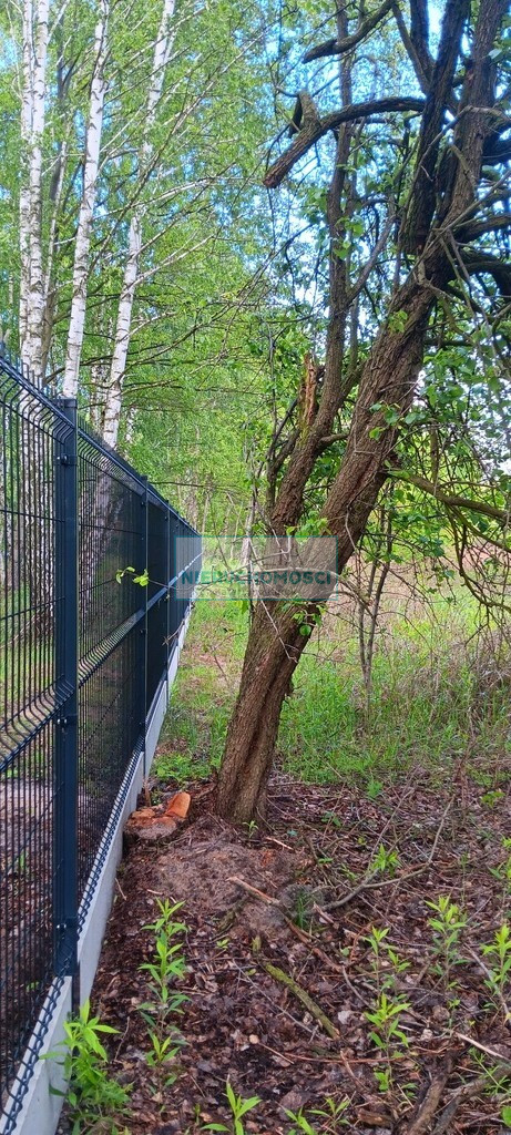 Działka Sprzedaż Międzyborów