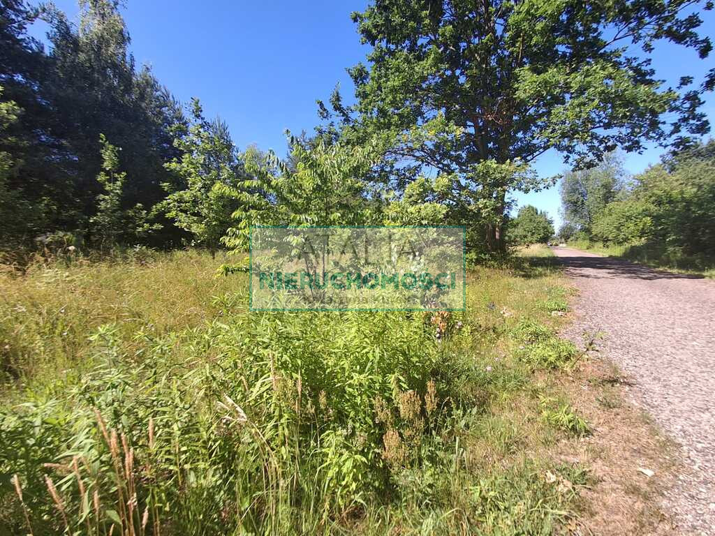 Działka Sprzedaż Budy-Grzybek