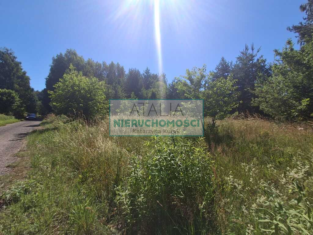 Działka Sprzedaż Budy-Grzybek
