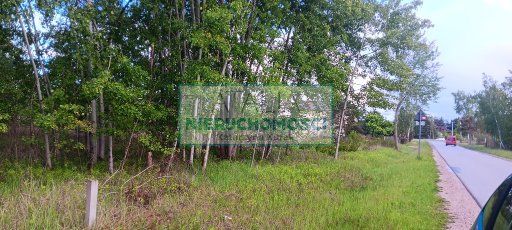 Działka Sprzedaż Międzyborów