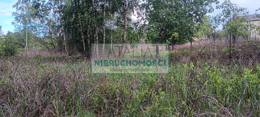 Działka Sprzedaż Międzyborów