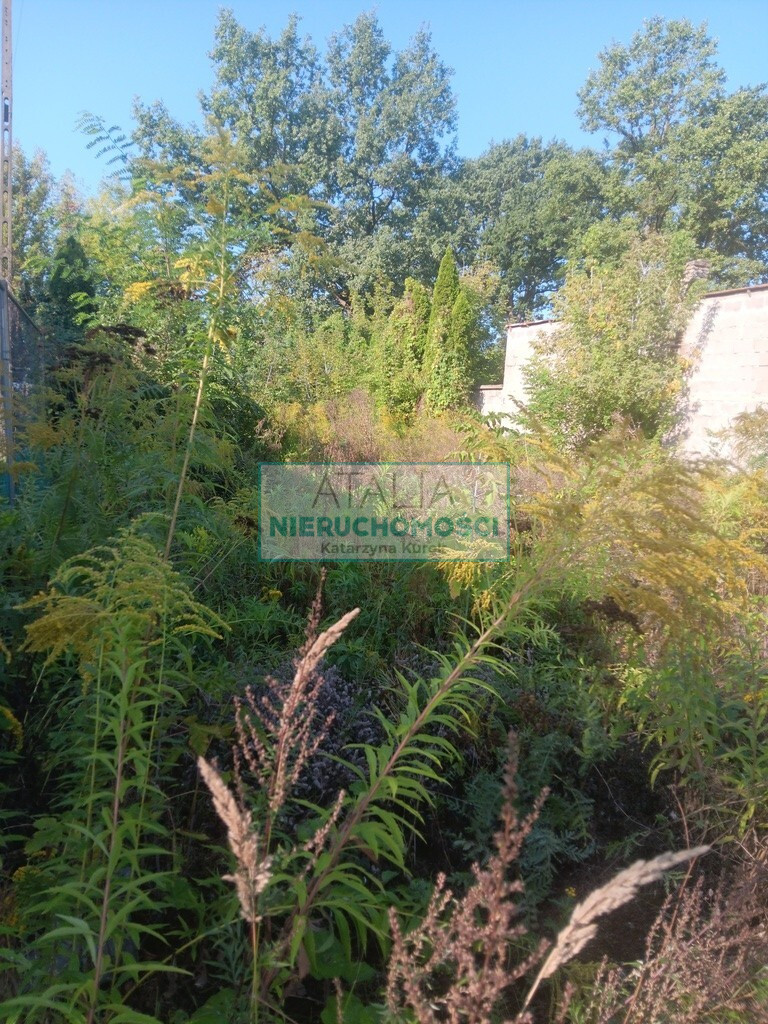 Działka Sprzedaż Chylice-Kolonia