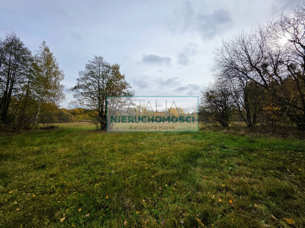 Działka Sprzedaż Władków