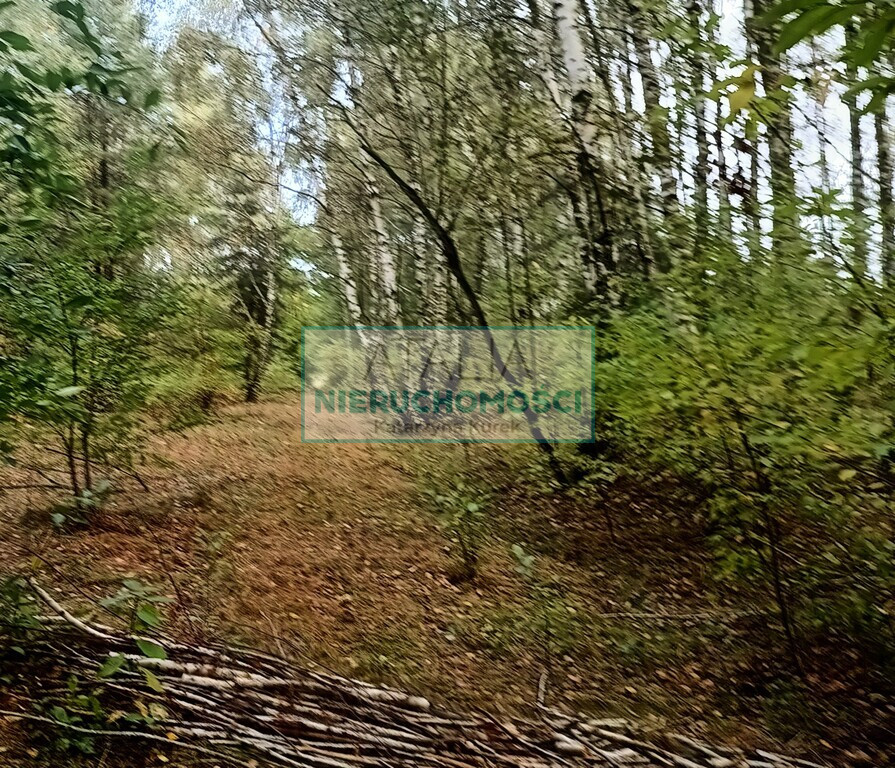 Działka Sprzedaż Grójec