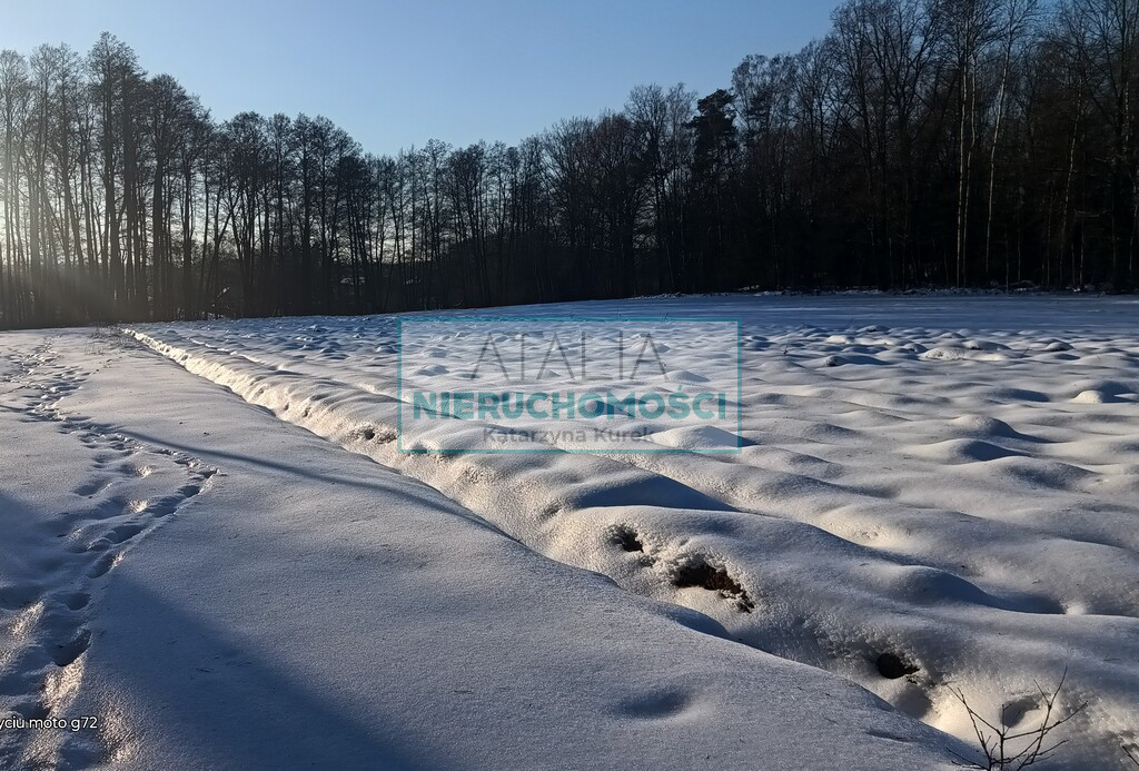 Działka Sprzedaż Makówka