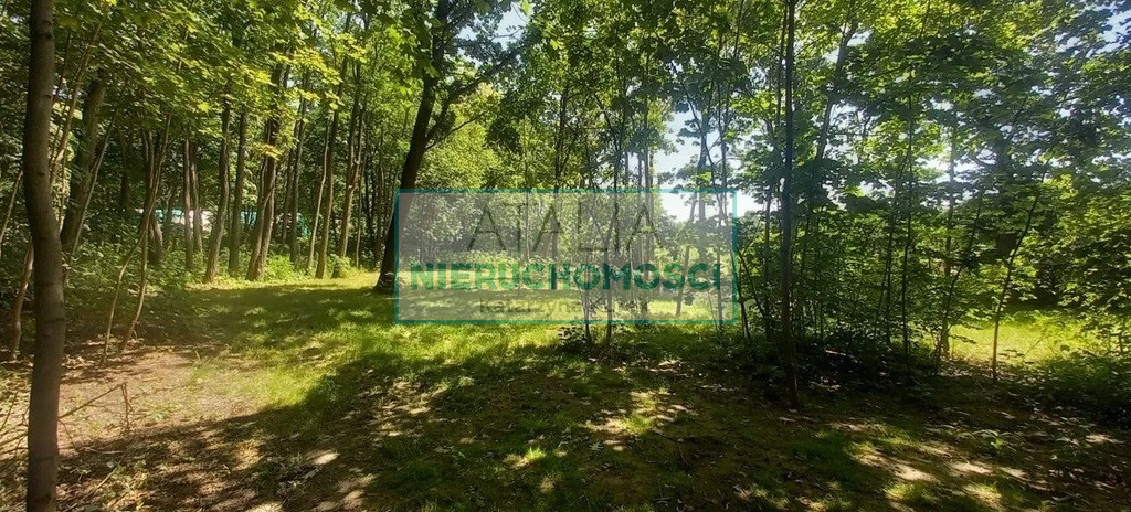 Działka Sprzedaż Podkowa Leśna