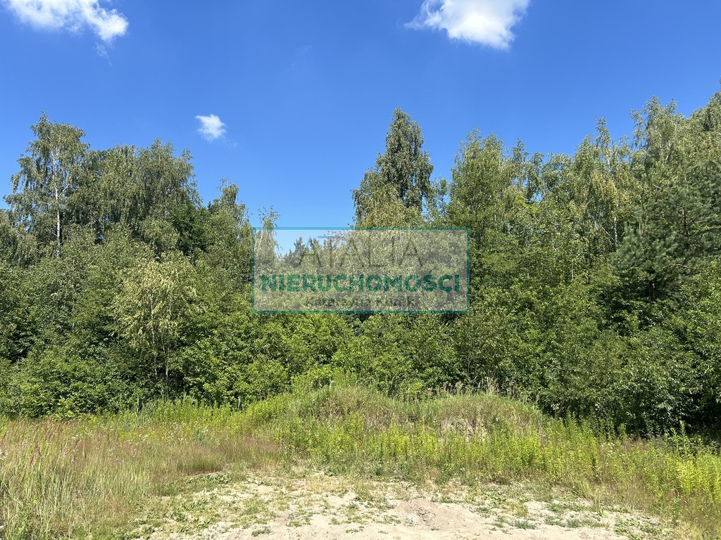 Działka Sprzedaż Kady