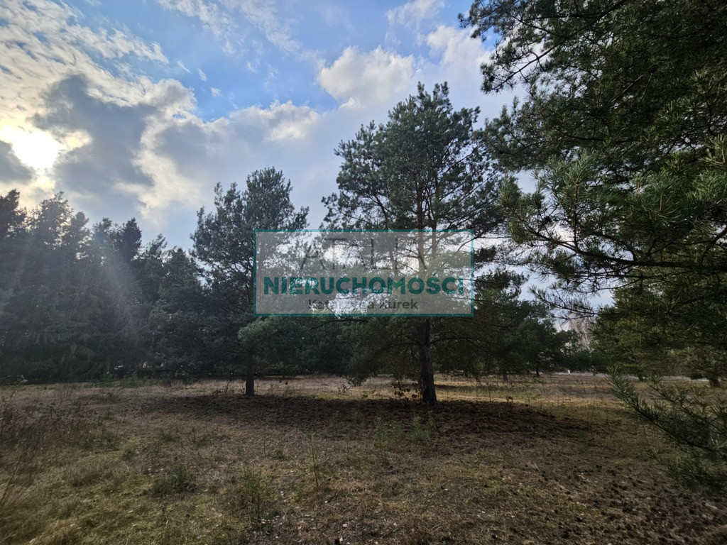 Działka Sprzedaż Ojrzanów