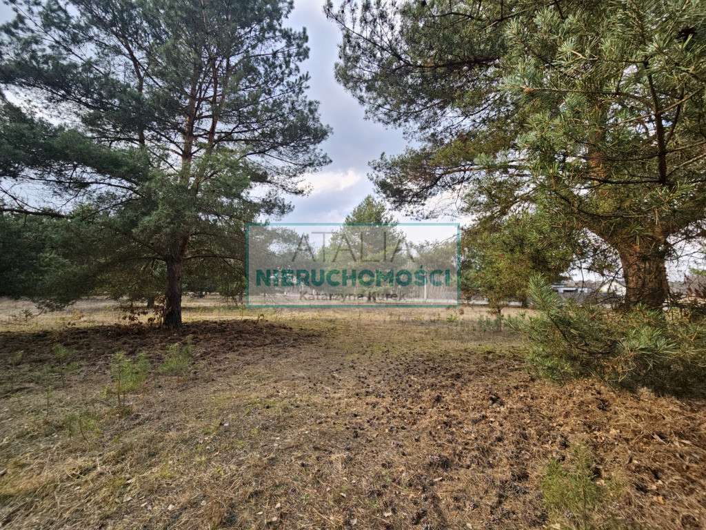 Działka Sprzedaż Ojrzanów