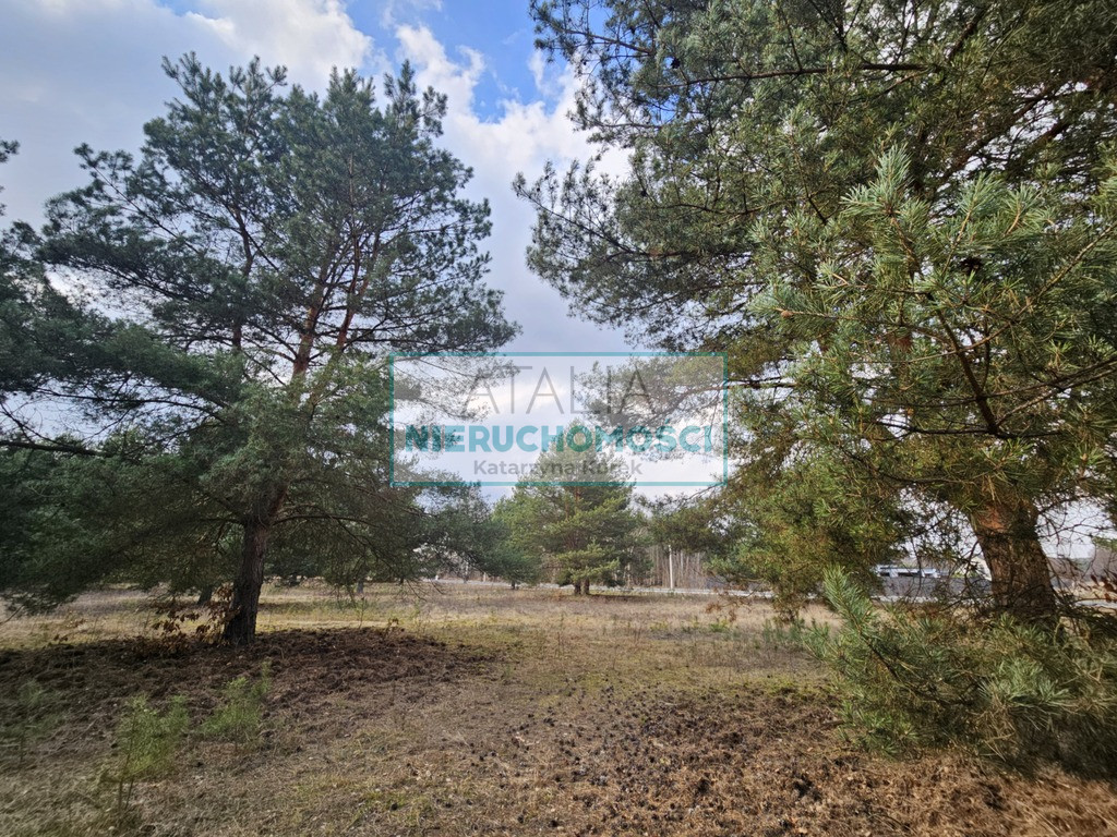 Działka Sprzedaż Ojrzanów
