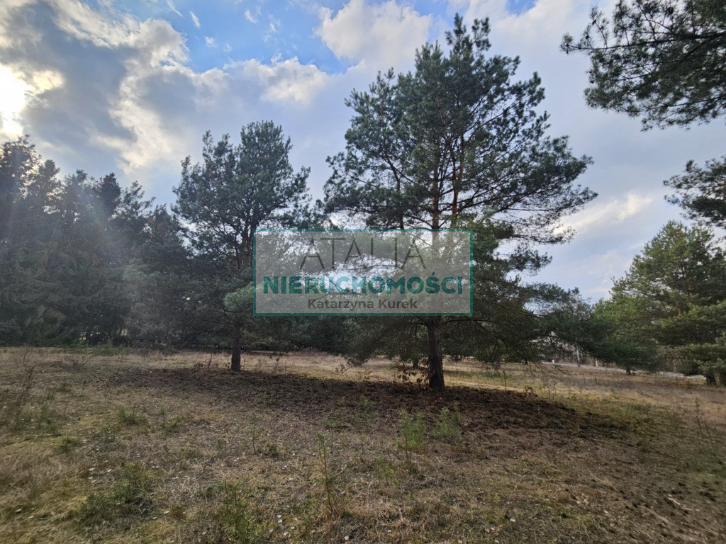 Działka Sprzedaż Ojrzanów