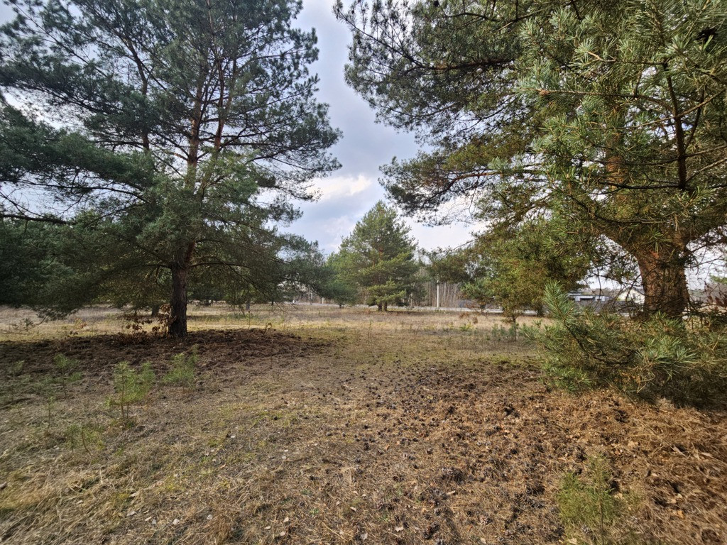 Działka Sprzedaż Ojrzanów