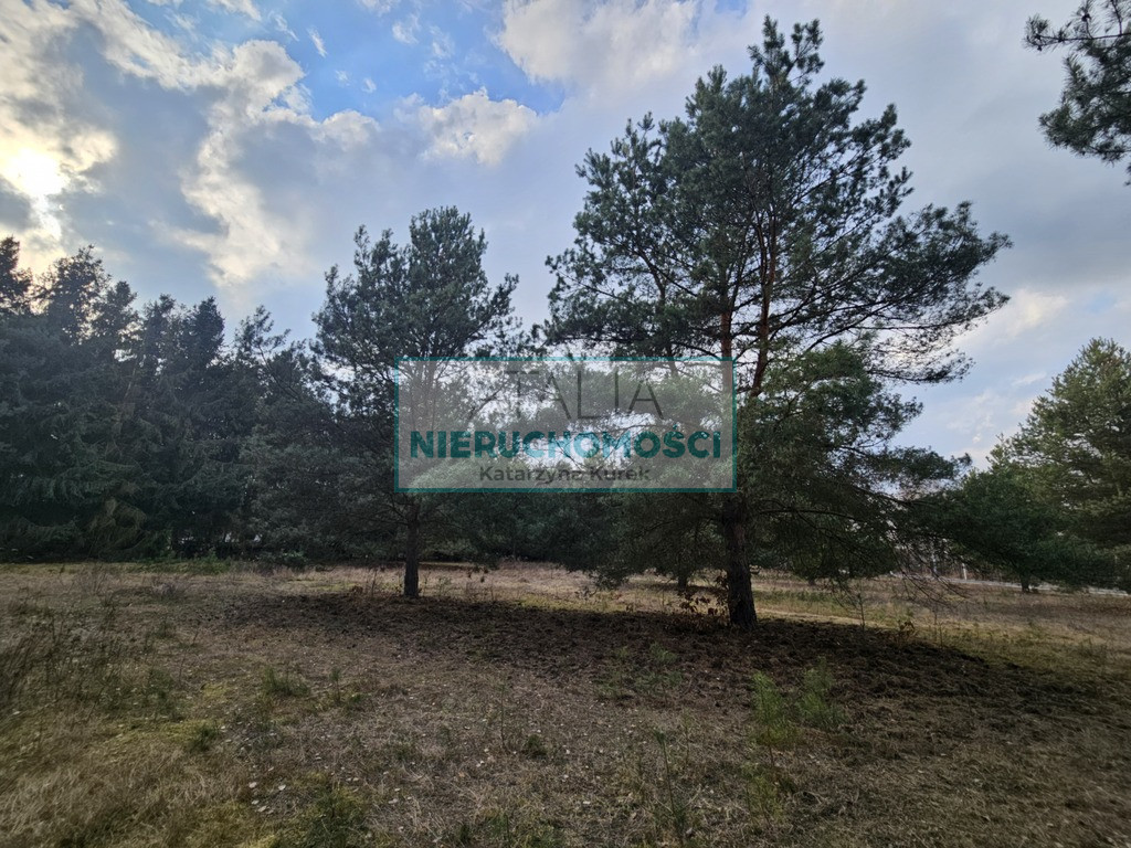 Działka Sprzedaż Ojrzanów