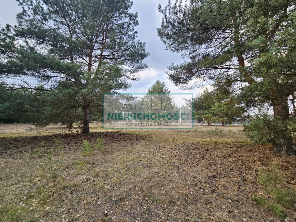 Działka Sprzedaż Ojrzanów