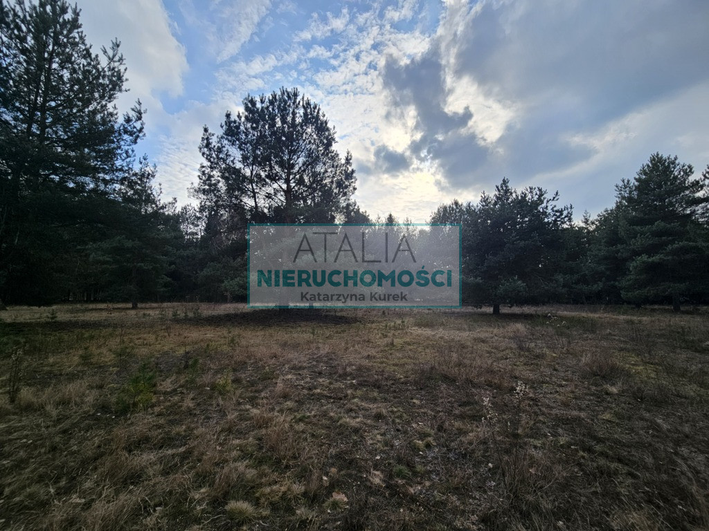 Działka Sprzedaż Ojrzanów