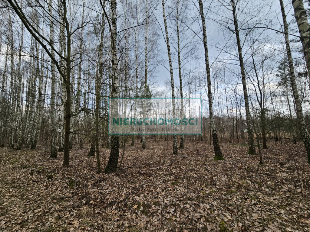 Działka Sprzedaż Słubica B