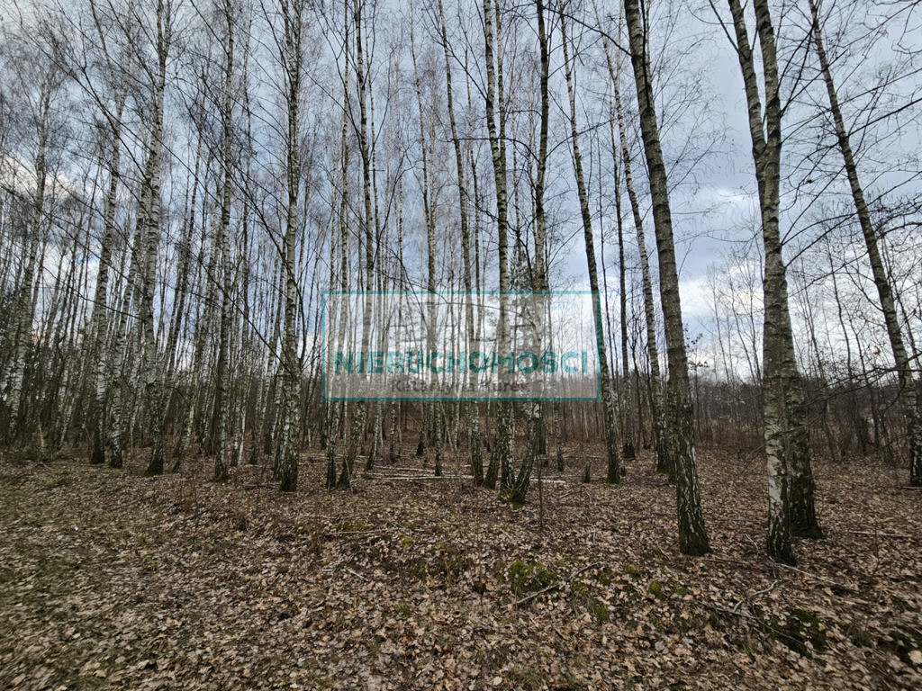 Działka Sprzedaż Słubica B