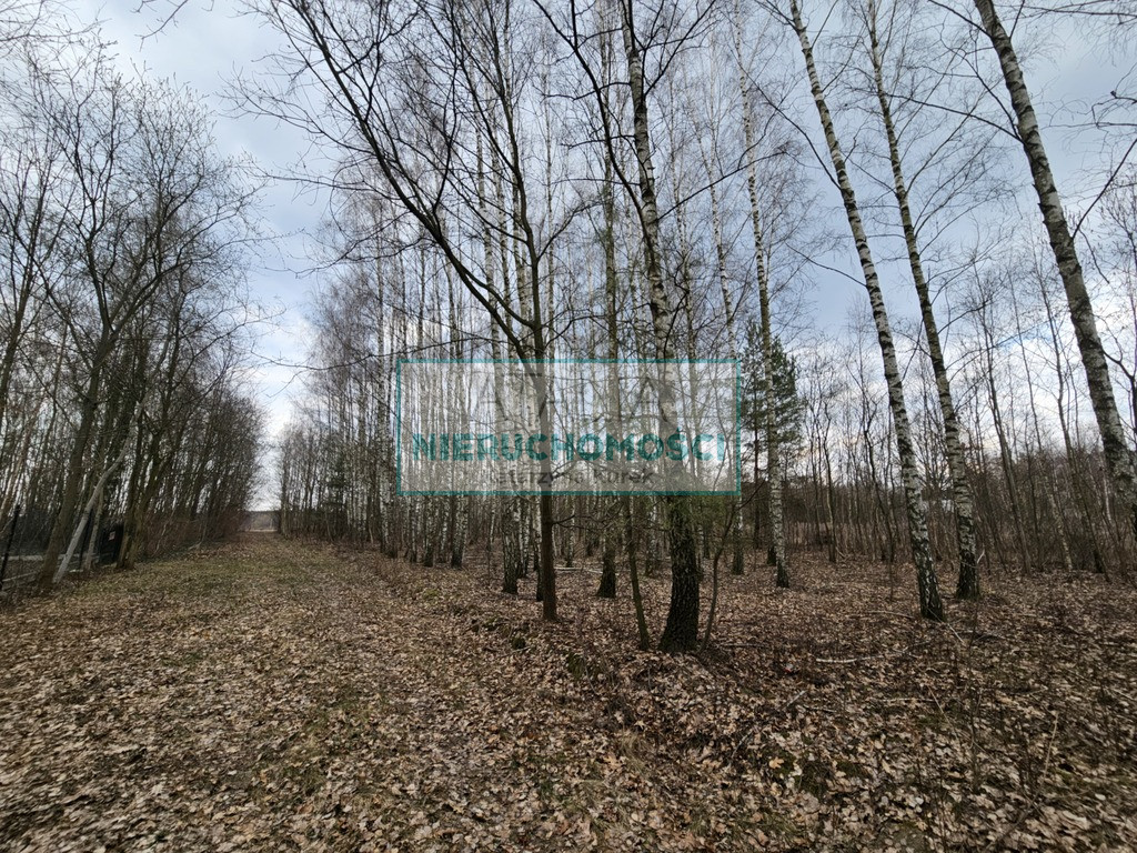 Działka Sprzedaż Słubica B