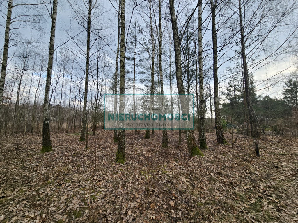 Działka Sprzedaż Słubica B