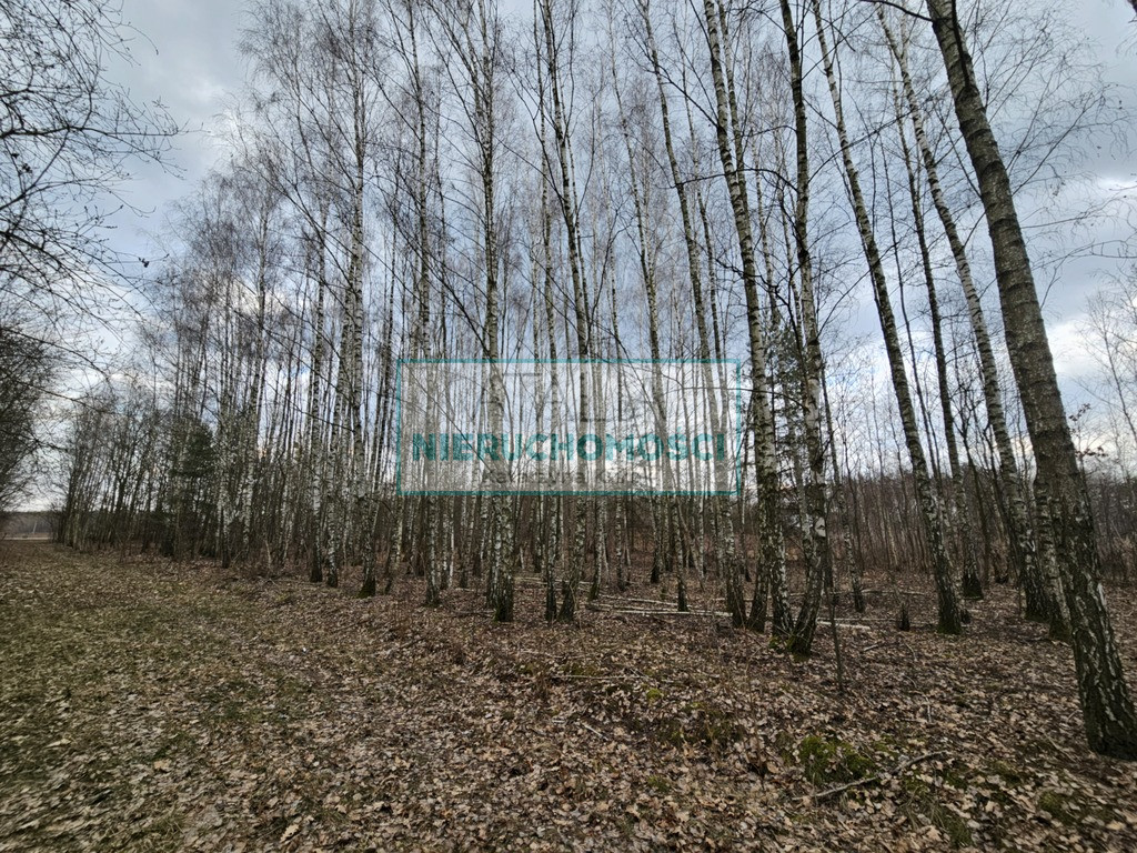 Działka Sprzedaż Słubica B