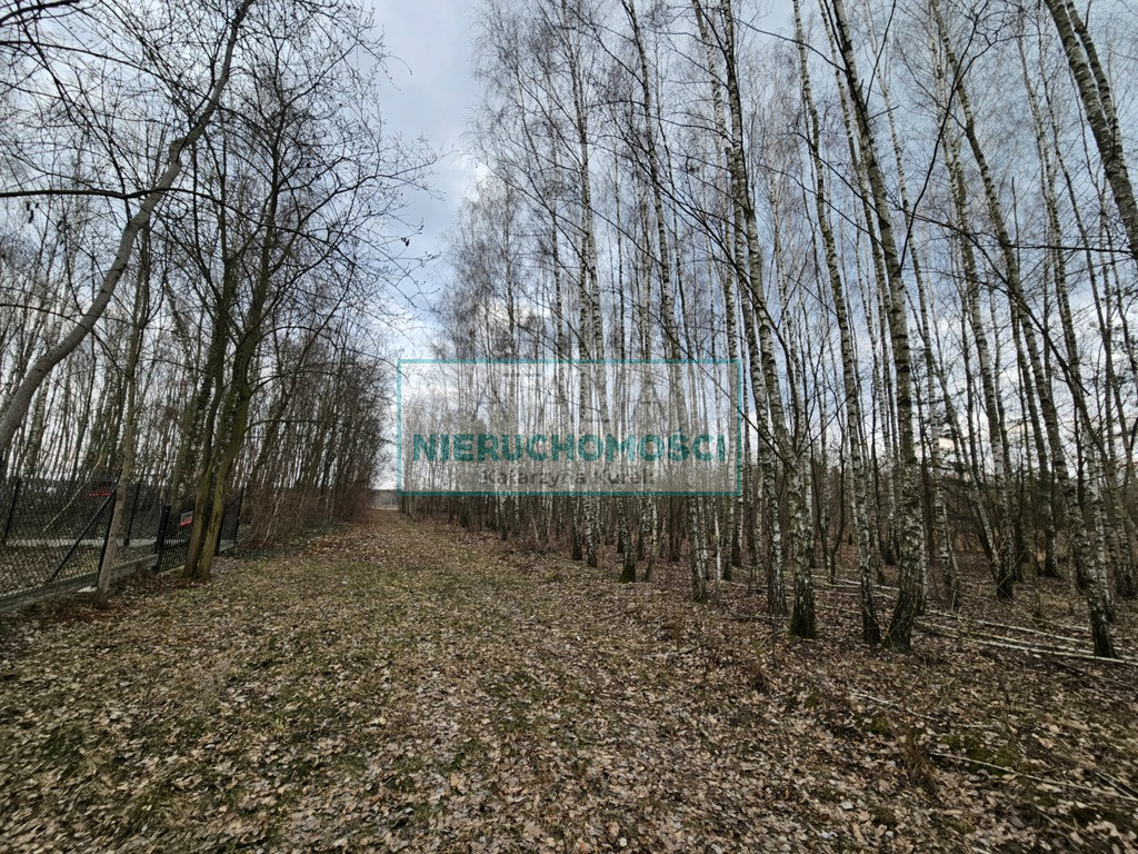 Działka Sprzedaż Słubica B
