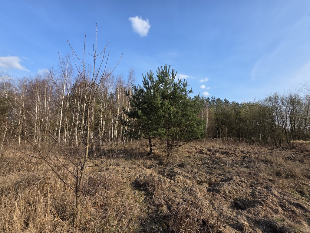 Działka Sprzedaż Ojrzanów