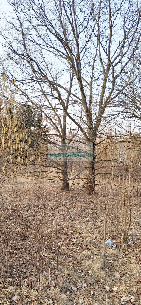 Działka Sprzedaż Jaktorów