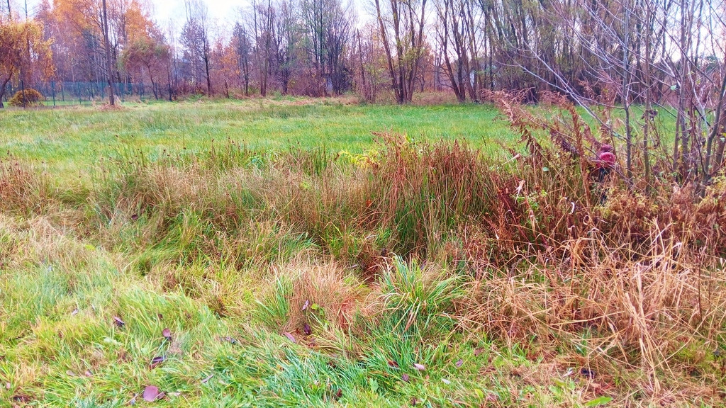 Działka Sprzedaż Jaktorów